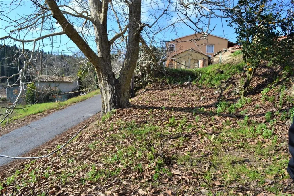 Extérieur - Maisonette with Land in Allimatades, Corfu