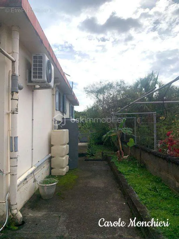 Jardin - Maison avec Atelier et Studio à Basse-Terre