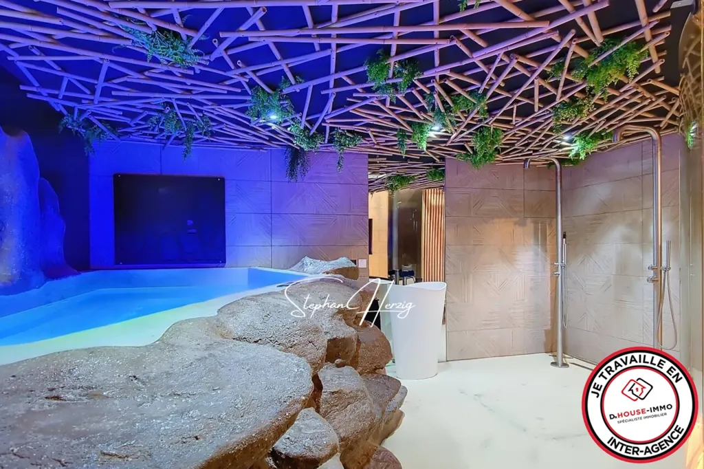 Toad - Wellness Centre with Two Suites in Bordeaux