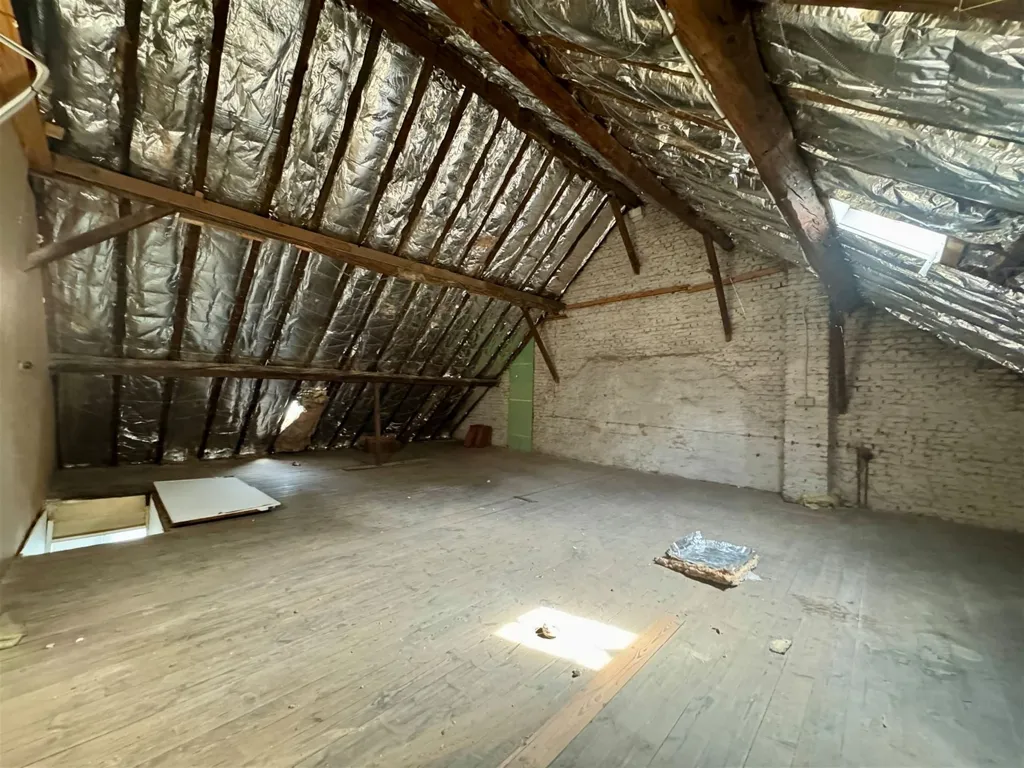 Toad - Spacious Semi-Detached House with Garden in Rumst