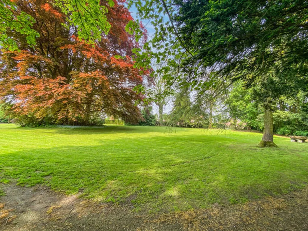 garden