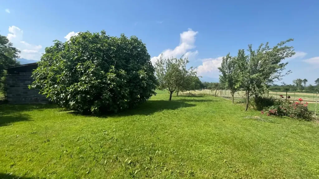 Aed - Terraced House with Garden in Barbania