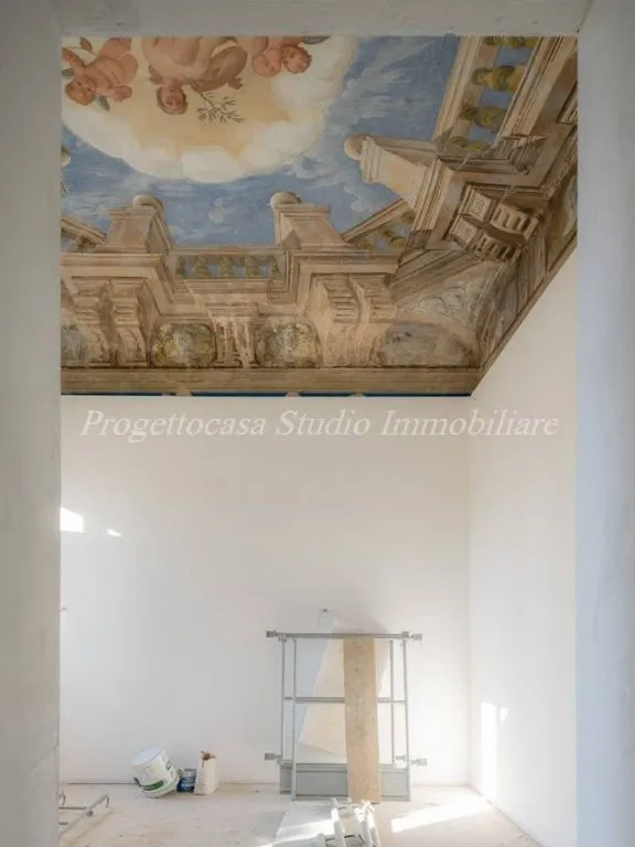 Toad - Luxury Duplex Flat in Historic Villa, Mirano