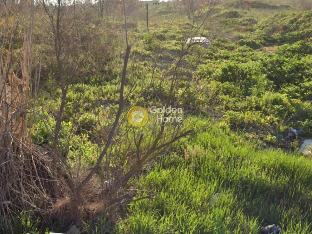 Garden - Agricultural Land with Unrestricted View in Thermi