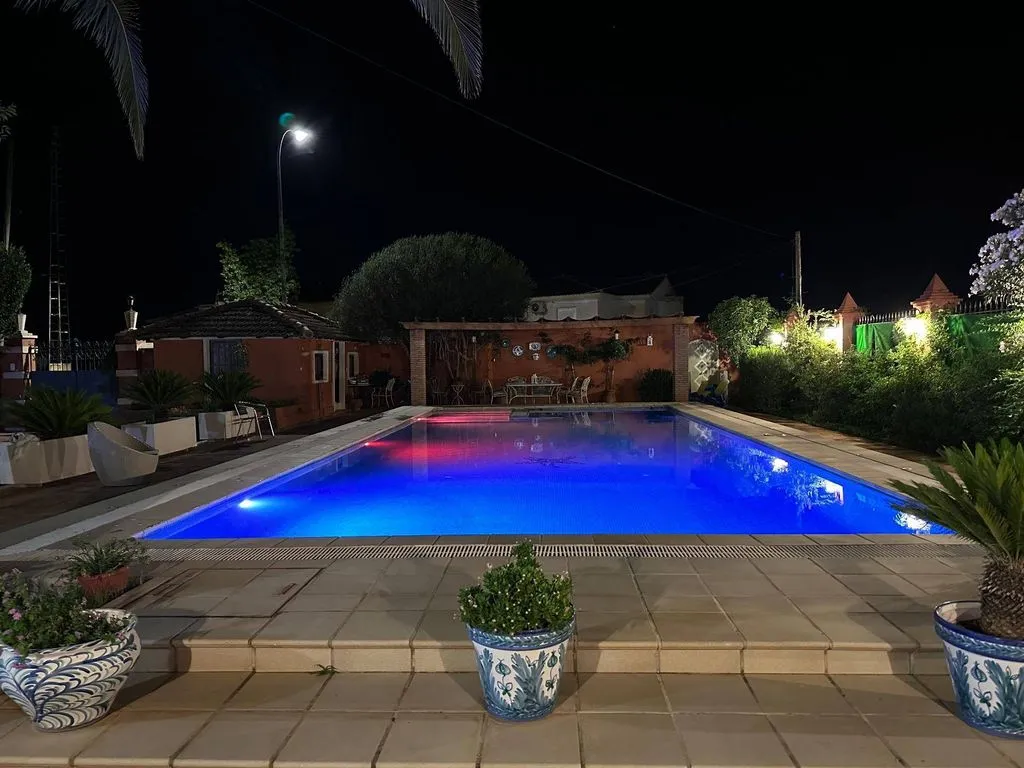 Pool - Historic Palatial House with Pool in Ogíjares