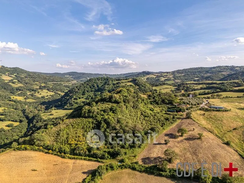 Õhuvaade - Rural Podere with 24 Hectares in Scansano