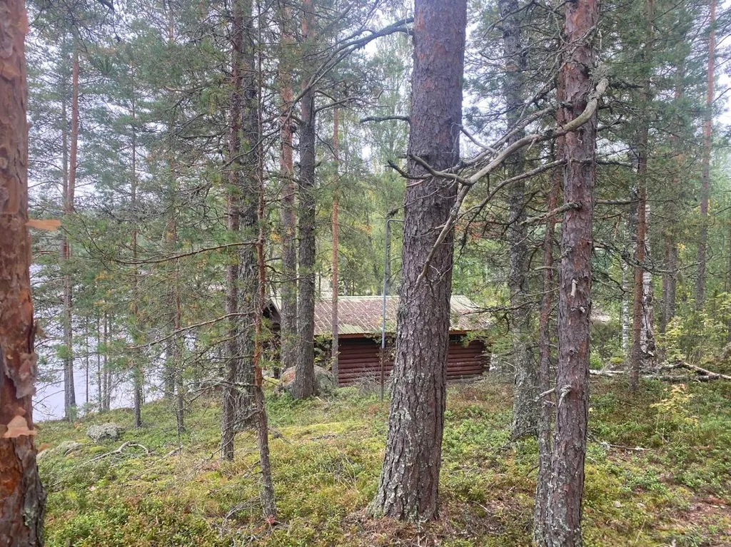 Välivaade - Cottage with Sauna on Lake Shore in Äitsaari