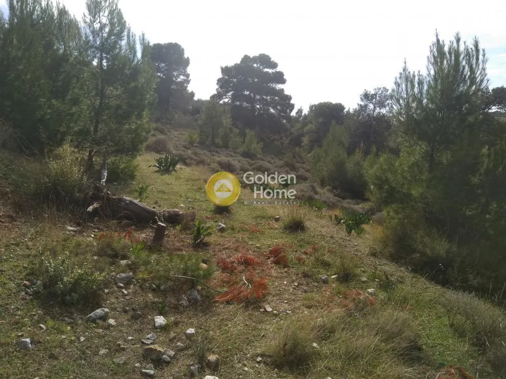 Aed - Plot with Panoramic View in Kalivia - Lagoni
