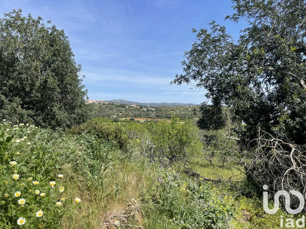 Jardin - Approved Project Land with Panoramic View in Boliqueime