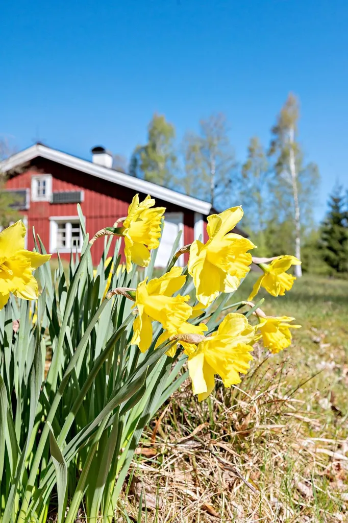 Välivaade - Traditional Cottage by Lake in Hillared