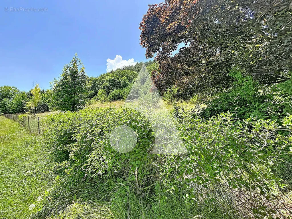 Aed - Constructible Plot with South View in La Freissinouse