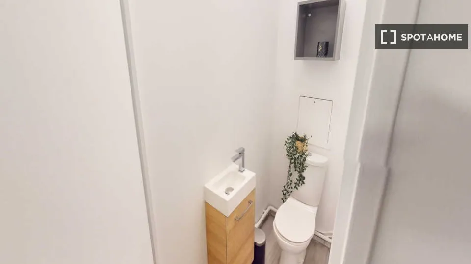 Salles de bain - Chambre en Colocation à Bibliothèque-Seine, Paris