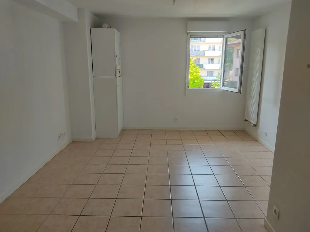 Toad - Charming Flat near Centre, Thonon