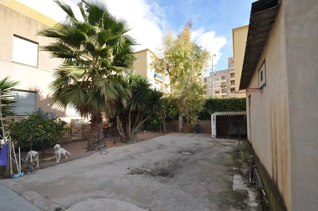 Jardin - Luxury House with Office in Petrel, Valencia