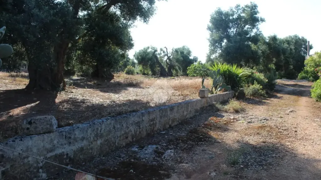 Jardin - Rustic Farmhouse with Pool Potential in Carovigno