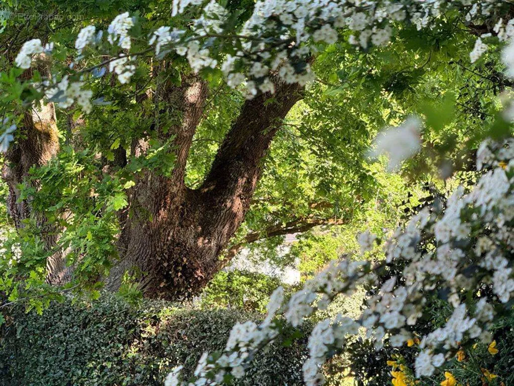 Maison Familiale avec Jardin près de la Rivière à Crach