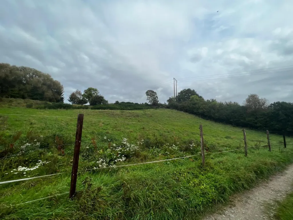 Garden - 2ha Natural Retreat in Rural Setting