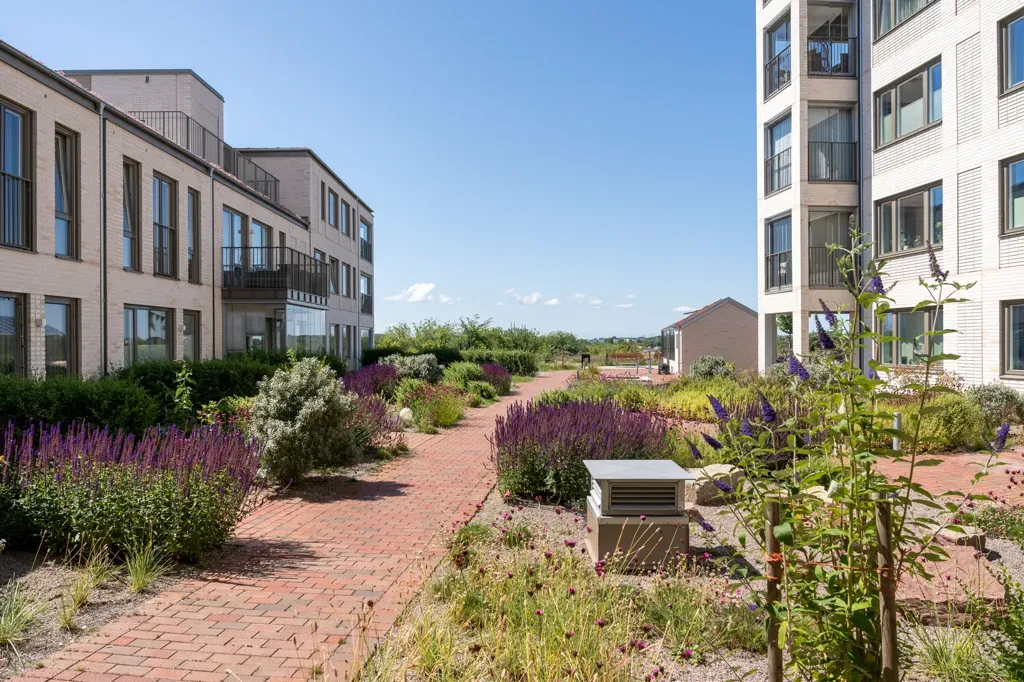 Aed - Modern Flats with Garden in Skåne