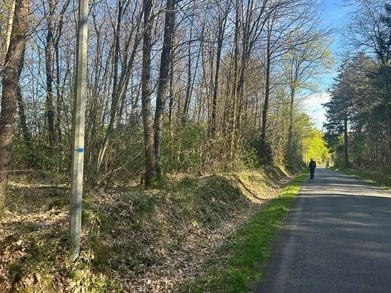 Jardin - Bois Taillis à Vendre à Le Vieil-Baugé