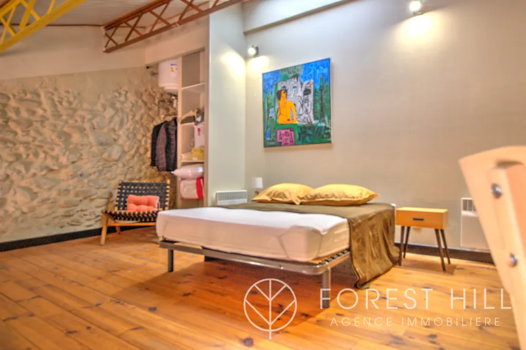 Magamistoad - Stone Loft with Mezzanine in Céret Centre