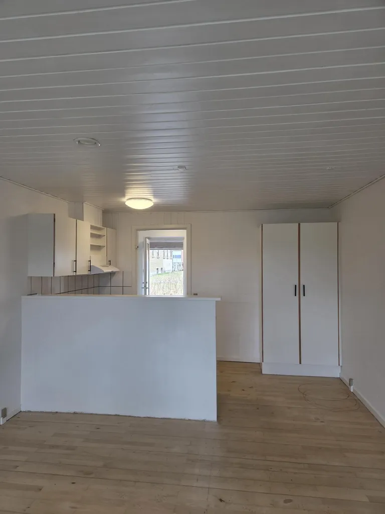 Cuisine - Renovated Studio Flat with Terrace in Ørnhøj