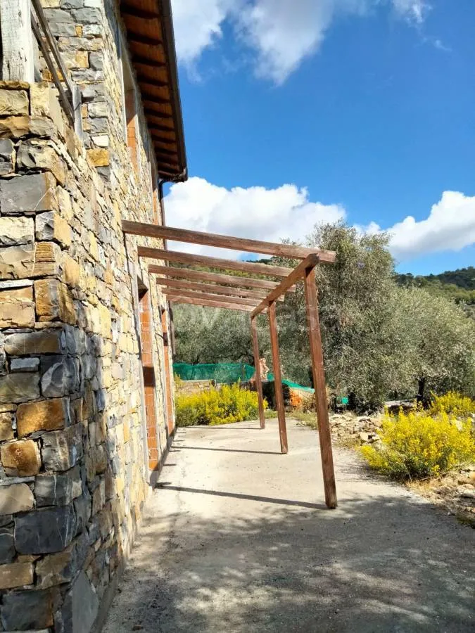 Terrass - Rustic Villa with Olive Grove in Diano San Pietro