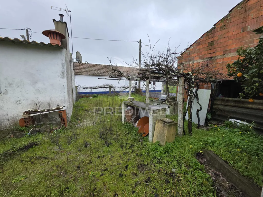 Jardin - Detached House with Fruit Trees in Água Derramada