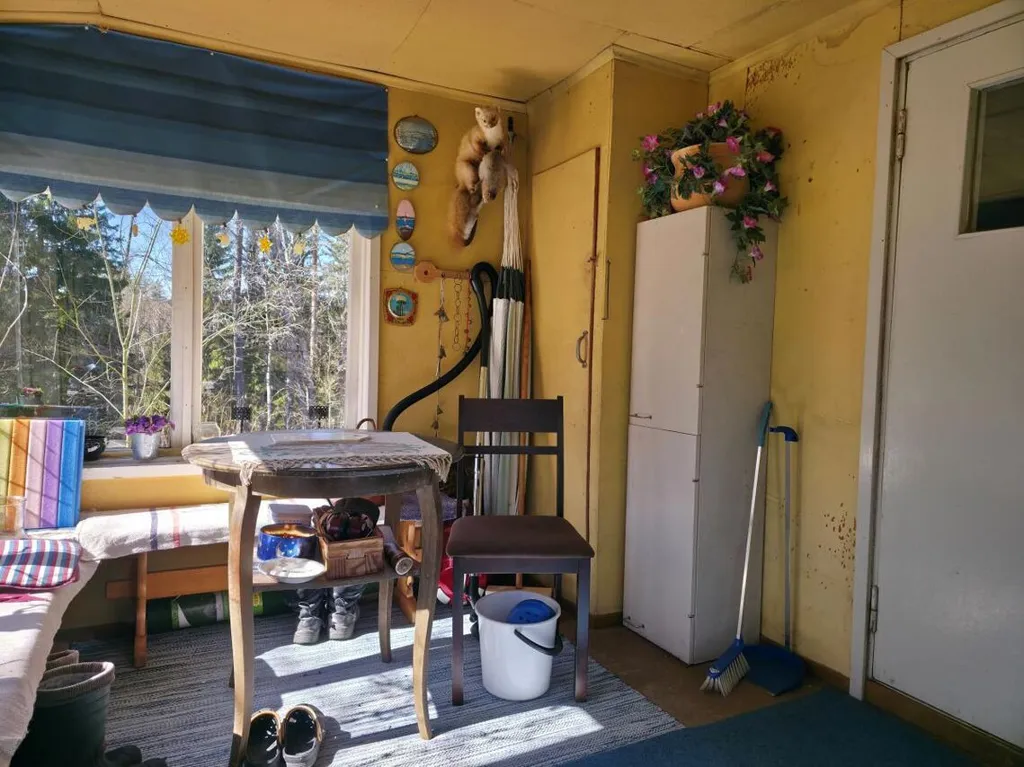 Bien à Ylöjärvi