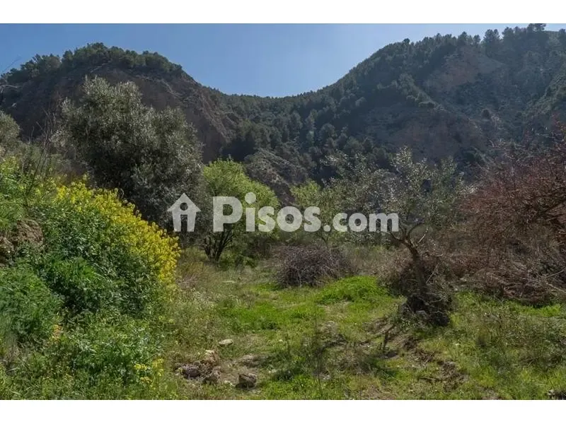 Giardino - Rustic Finca with Mountain View in Cónchar