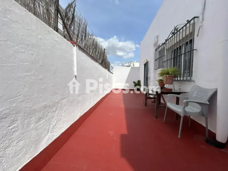 Terrass - Loft with High Ceilings in Alameda de Hércules