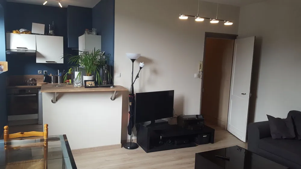 Séjour - Appartement Rénové avec Cuisine Ouverte à Lille