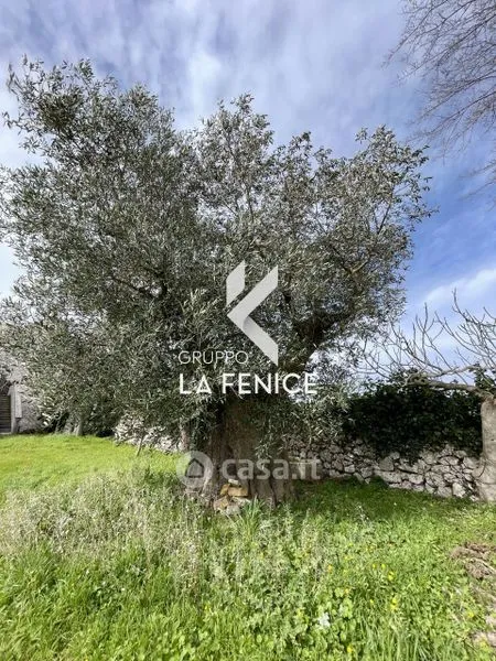 Aed - Rustic Masseria with Panoramic Views in Martina Franca