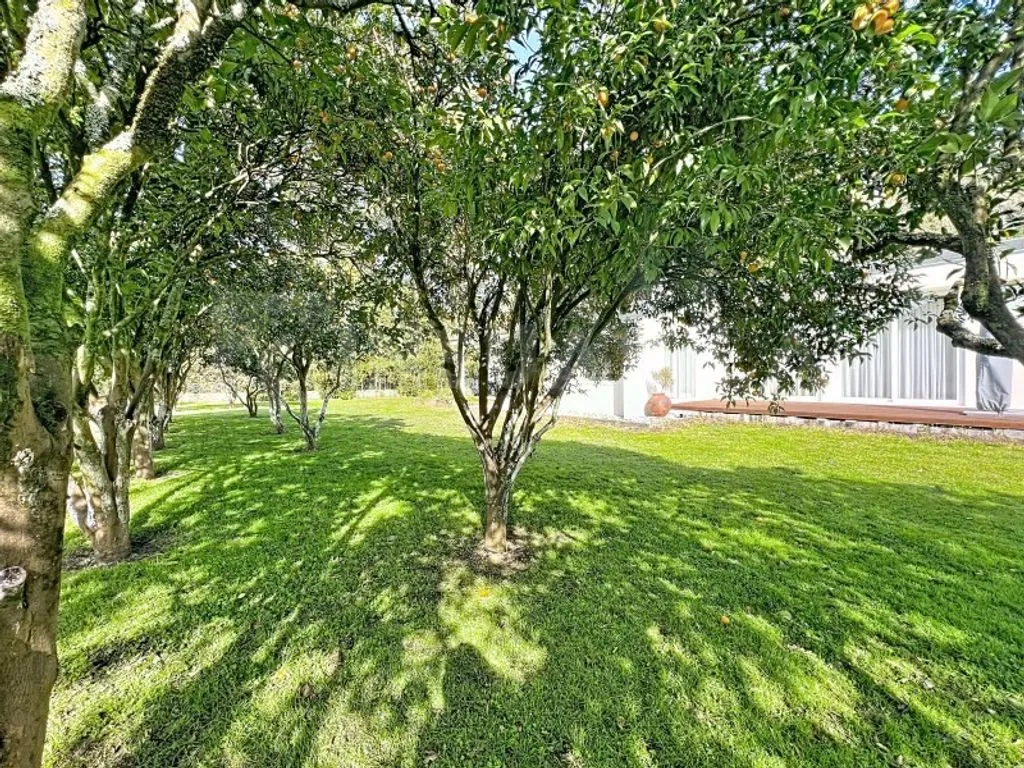 Jardin - Refurbished Villa with Garden in Caminha