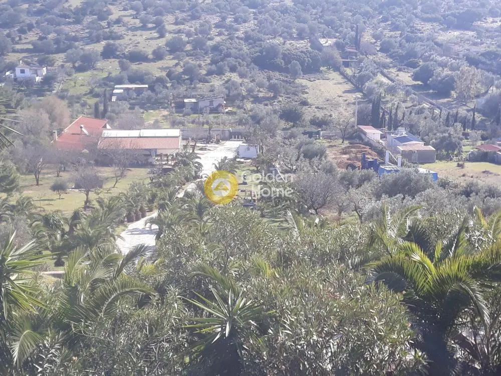 Vue aérienne - Villa with Sea View in Koropi
