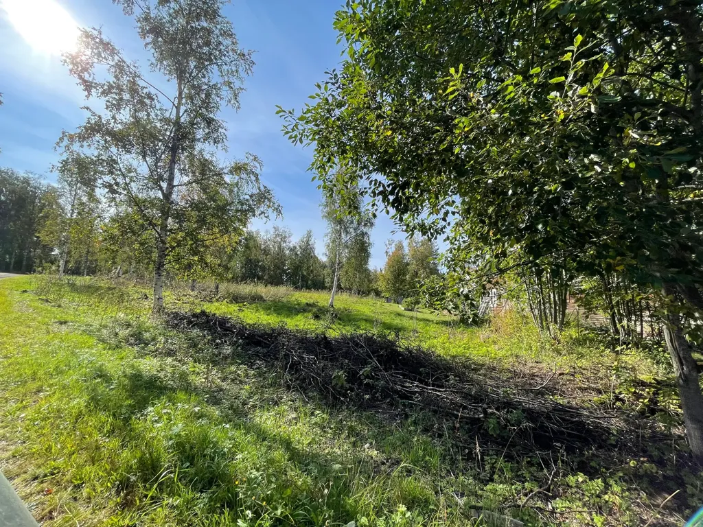 Garden - Villa Plot with Nature Access in Älvdalen
