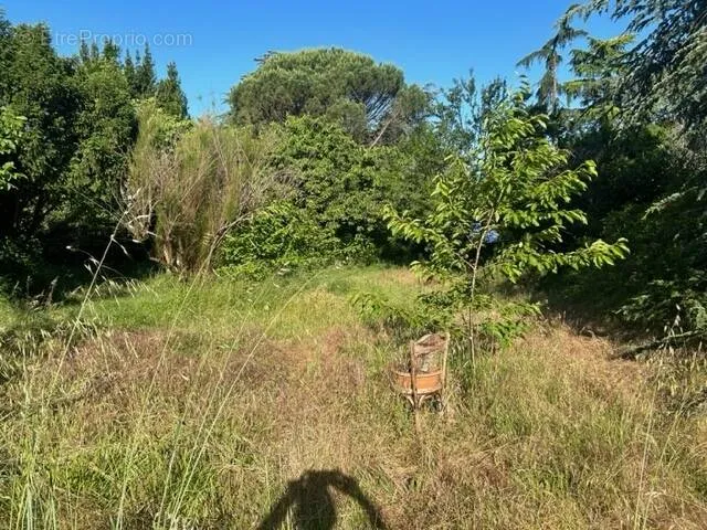 Jardin - Terrain à Bâtir Calme à Craponne