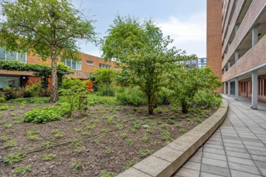Jardin - 4-Bedroom Flat with Serre in Kop van Zuid