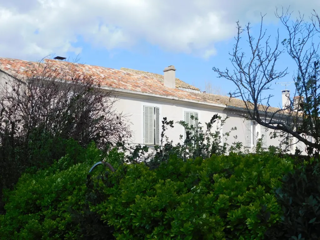 Extérieur - Mas à Rénover avec Jardin dans les Alpilles
