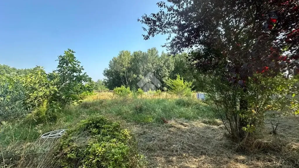 Jardin - Single-Storey Villa with Garden in Capannori
