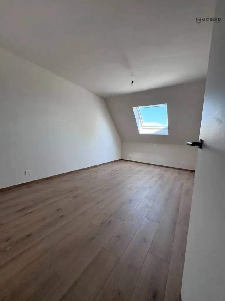 Toad - New Build House with Garden in 2025