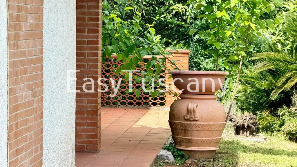 Terrasse - Villa with Olive Grove in Montecarlo