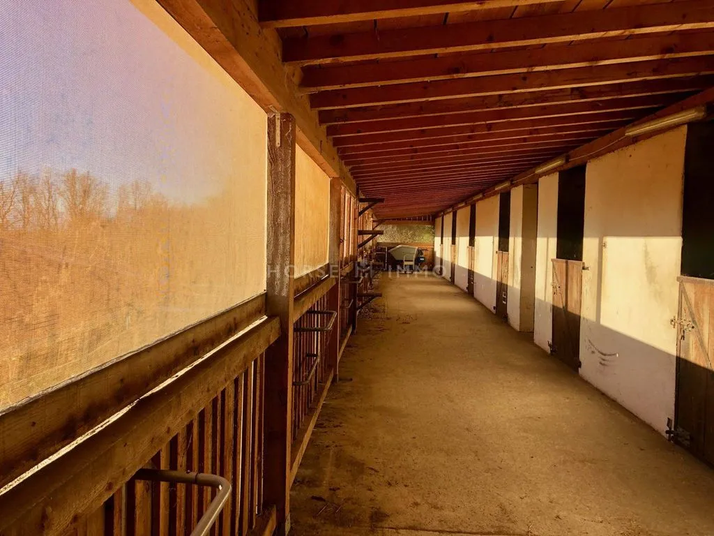 Terrasse - Propriété Équestre avec Manège à Thonon-les-Bains