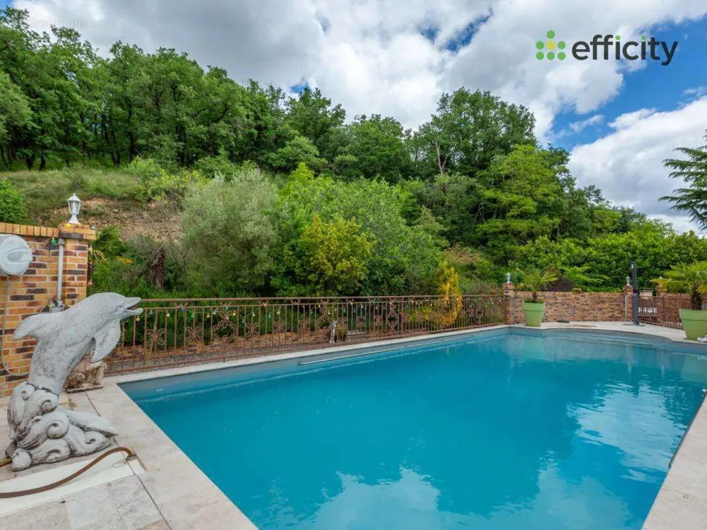 Pool - Character House with Pool in Saint-Priest