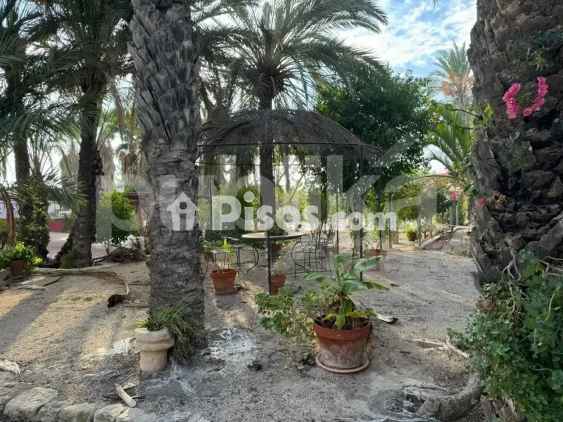 Terrasse - Historic Villa with Archaeological Setting in Elche