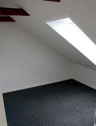 Toad - Apartment with Shared Facilities in Borris