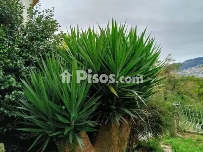 Jardin - Charming Stone House with River Views in Redondela
