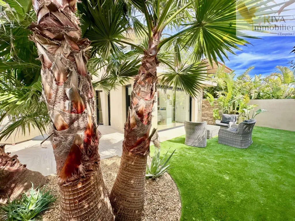 Jardin - Villa avec piscine et jardin à Sanary-sur-Mer