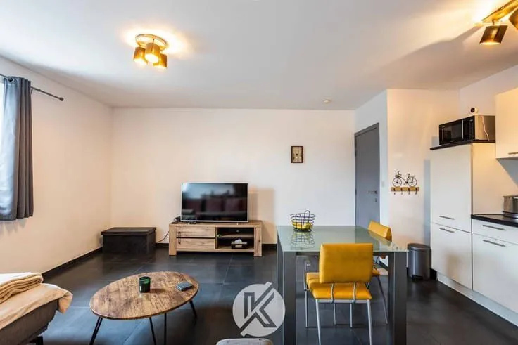 Séjour - Appartement à Grotstraat, Zottegem