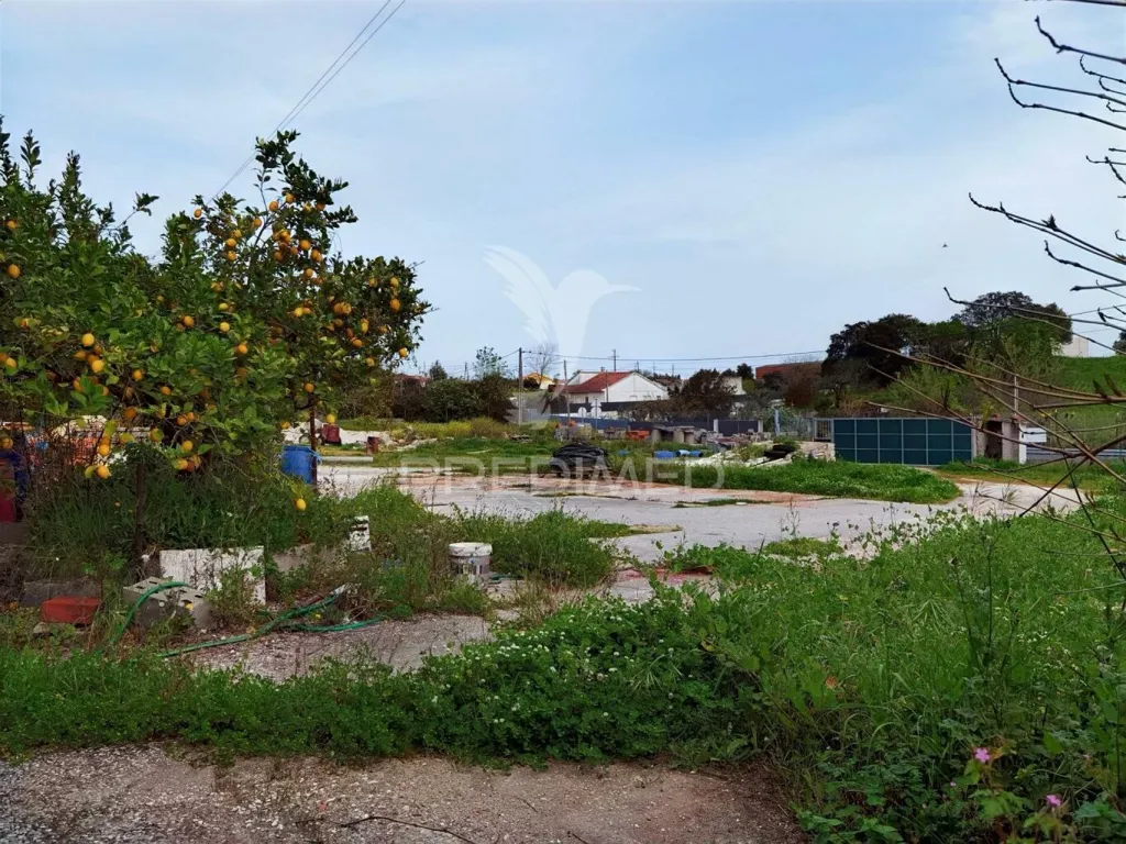 Garden - Commercial Warehouse with Land in São Pedro