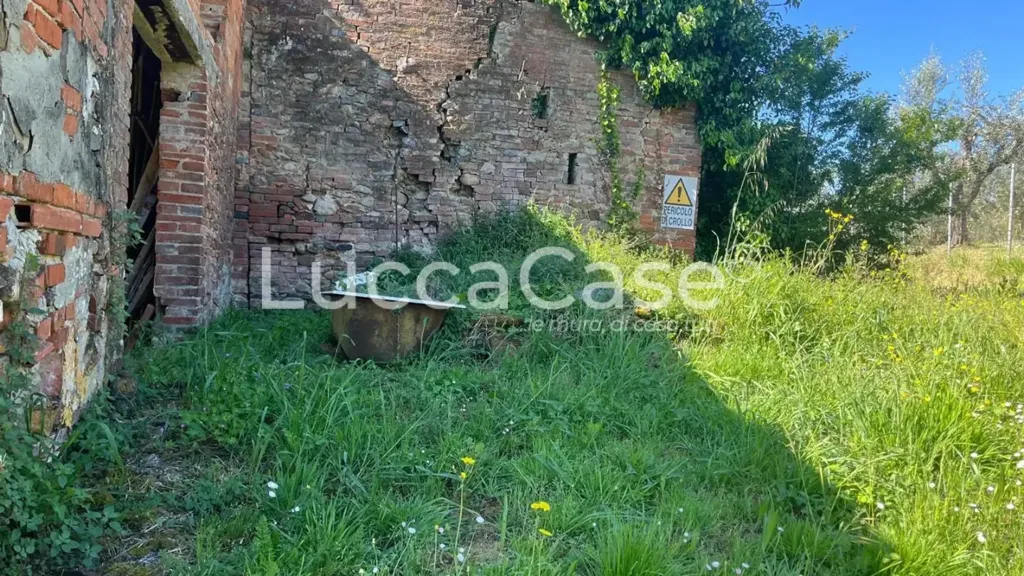 Jardin - Rustic Property to Renovate in Montecarlo
